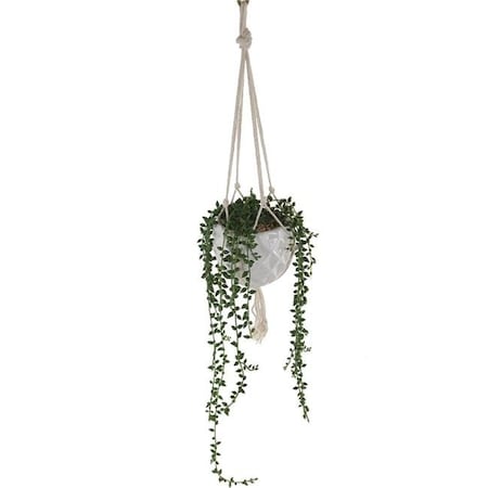 Flora Bunda Flora Bunda CS1882E 4 x 4 x 12 in. String of Pearls Macrame Hanging Ceramic Donkey Tails Faux Succulent Planter CS1882E